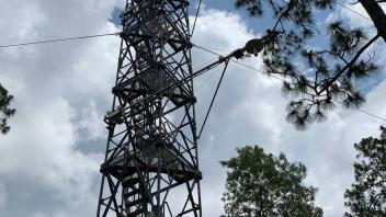 OSBS Florida tower