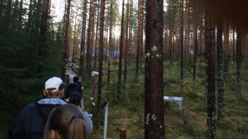 Tree selection at Hyytialla Field Station, Finland