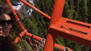Zoe at Niwot Ridge