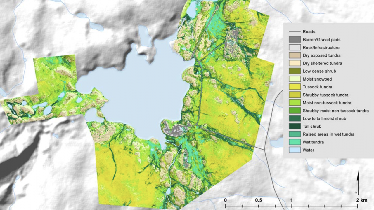 Map of vegetation classes at Toolik Field Station, Alaska