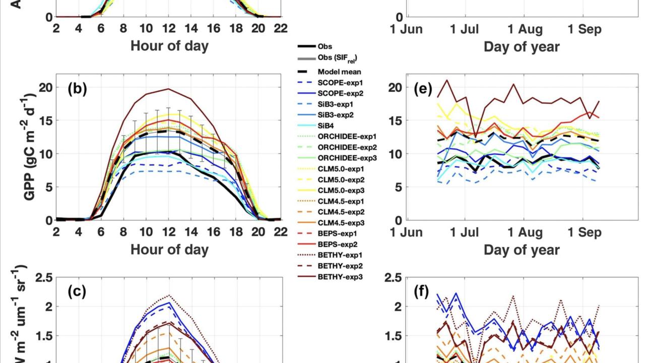 model results of SIF, APAR, and GPP at an evergreen forests asdada