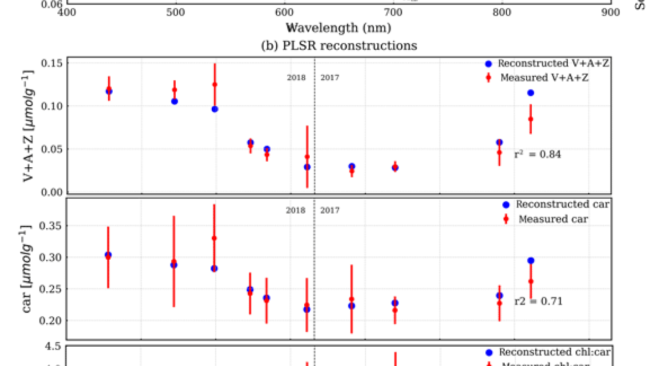 Relationships between spectra and pigments Assada