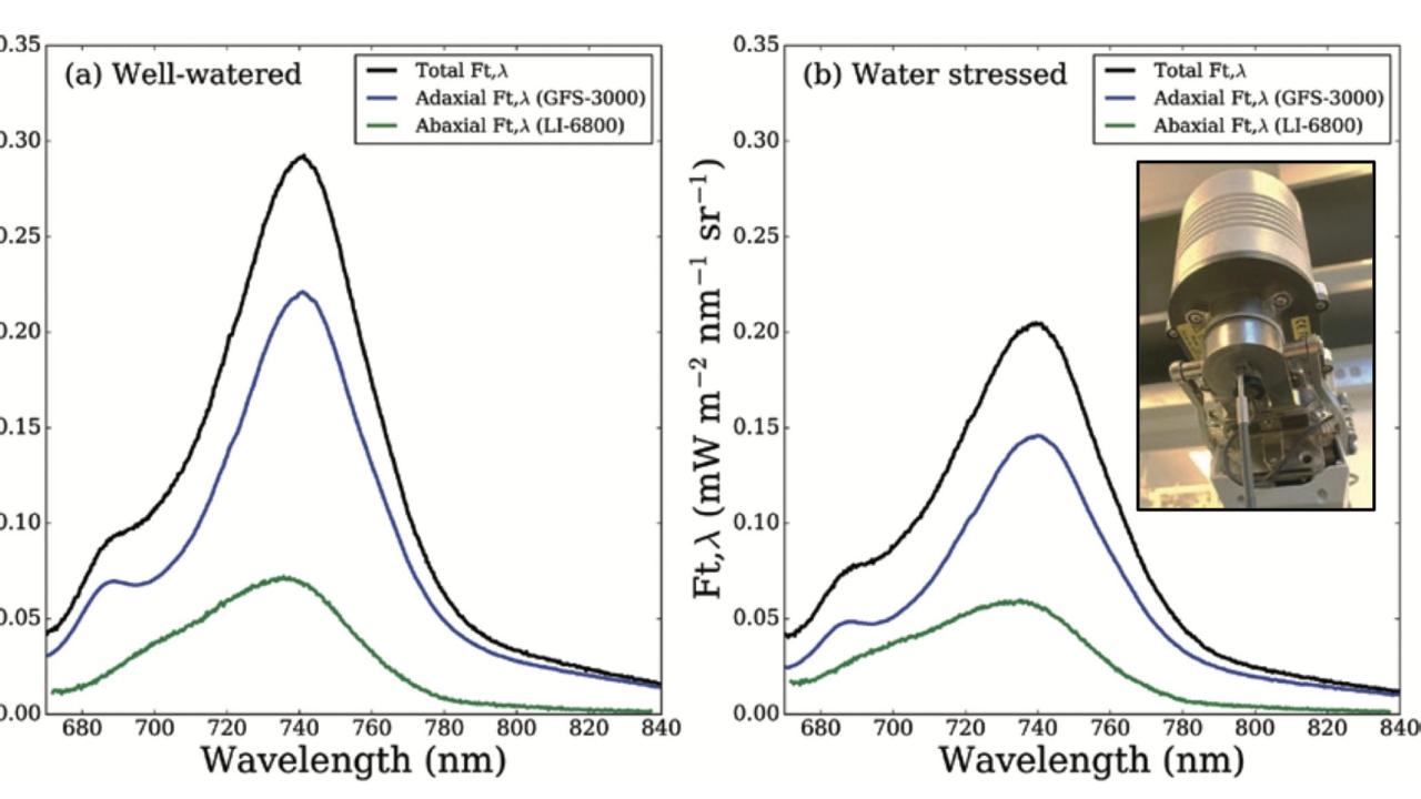 Fluorescence spectrum measured with an LI-6800