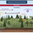 boreal